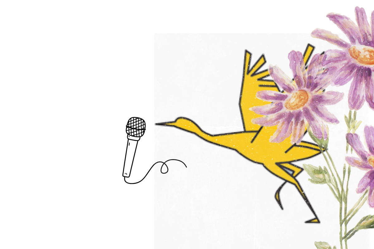 Friedenlabor Poetry Slam mit Ronja Köhler