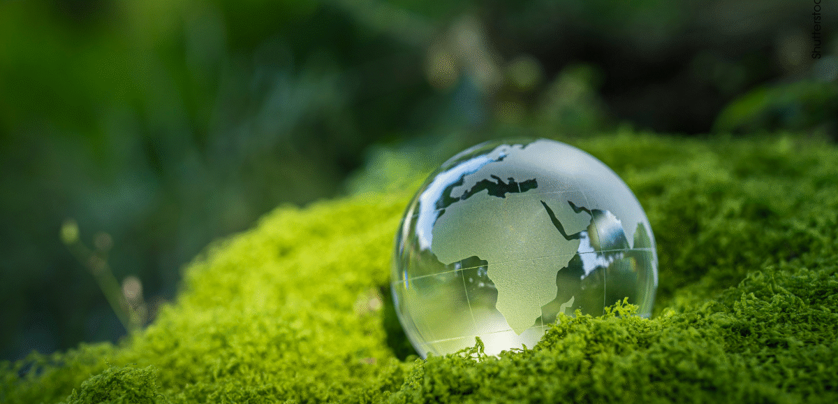 Vortrag Militär, Umwelt, Klima mit Verena Winiwarter