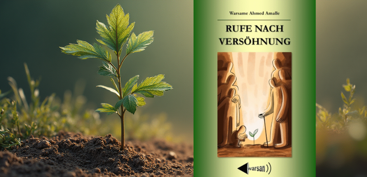 Buchcover: Abdullahi Osman - Rufe nach Versöhnung