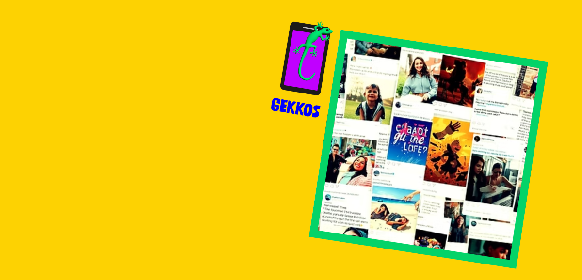 Guter Content - schlechter Content | Projekt GEKKOS