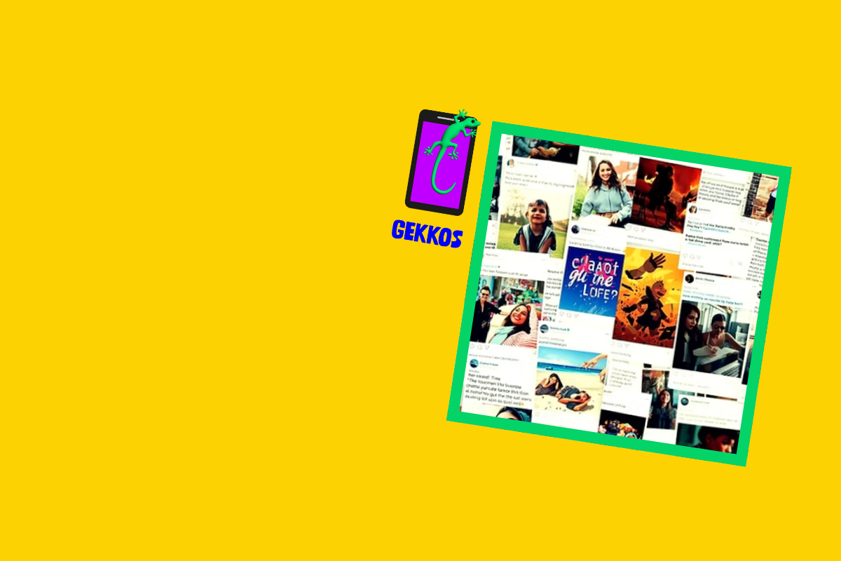 Guter Content - schlechter Content | Projekt GEKKOS