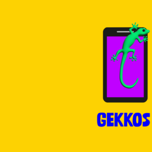 Sujet GEKKOS