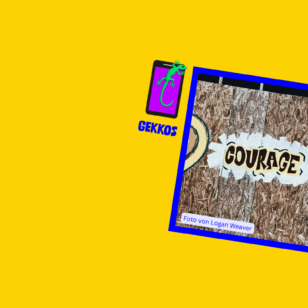 Zivilcourage | Projekt GEKKOS