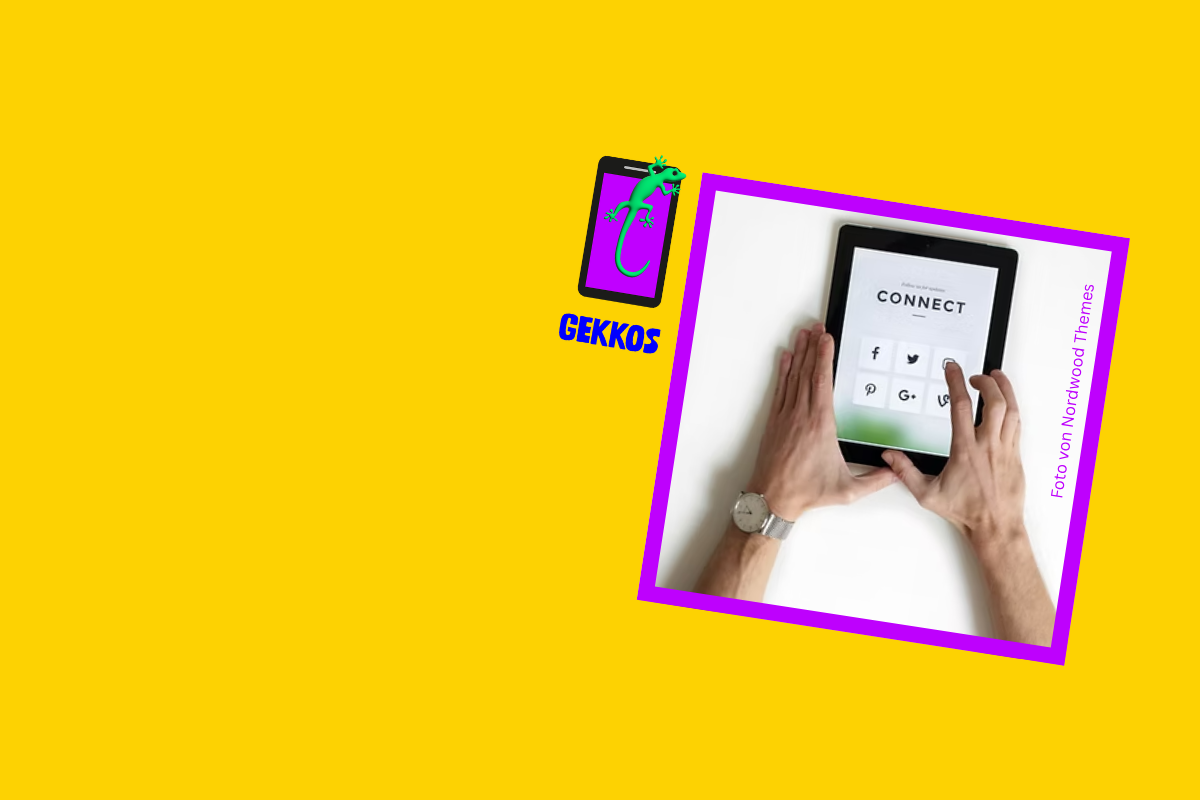 Alternative Erzählungen auf Social Media - Projekt GEKKOS