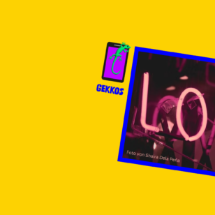 Lovestorm - Projekt GEKKOS