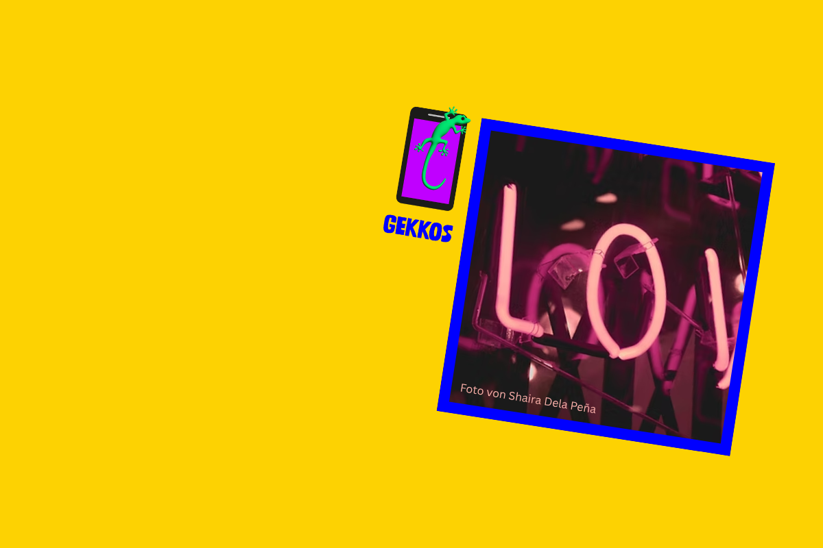 Lovestorm - Projekt GEKKOS