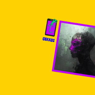 Webinar Extremistische Weltbilder - Projekt GEKKOS